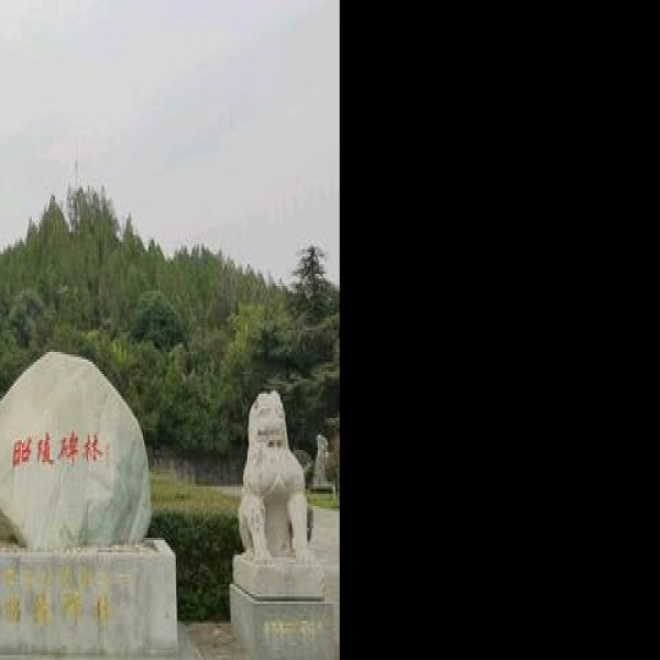 石台孝经 - 图片6
