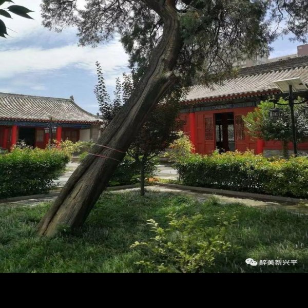 唐桥陵碑刻 - 图片9