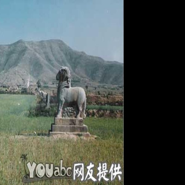 唐泰陵碑刻 - 图片1