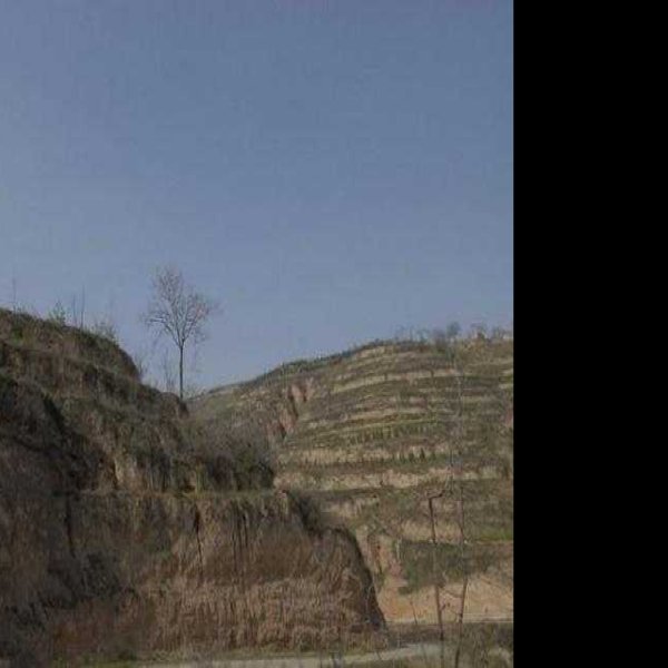 唐建陵碑刻 - 图片3