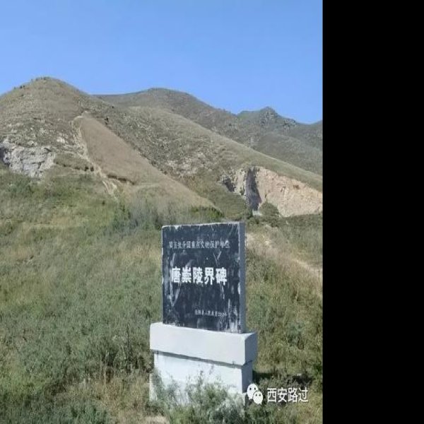 唐崇陵碑刻 - 图片2