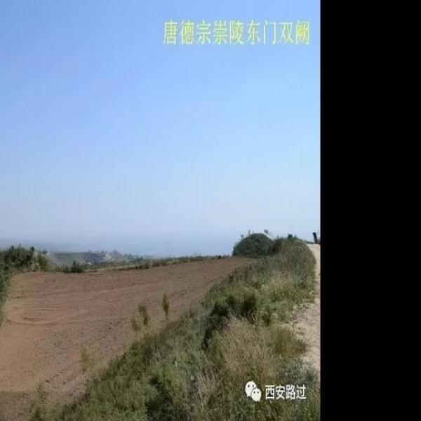 唐崇陵碑刻 - 图片7