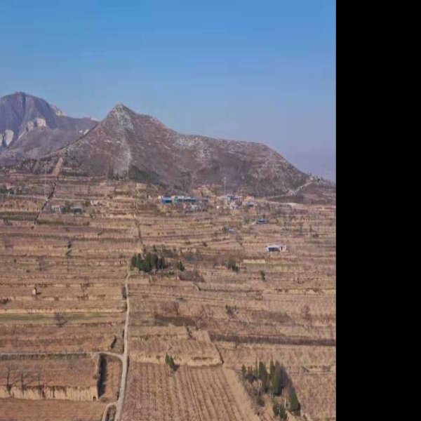 唐丰陵碑刻 - 图片1