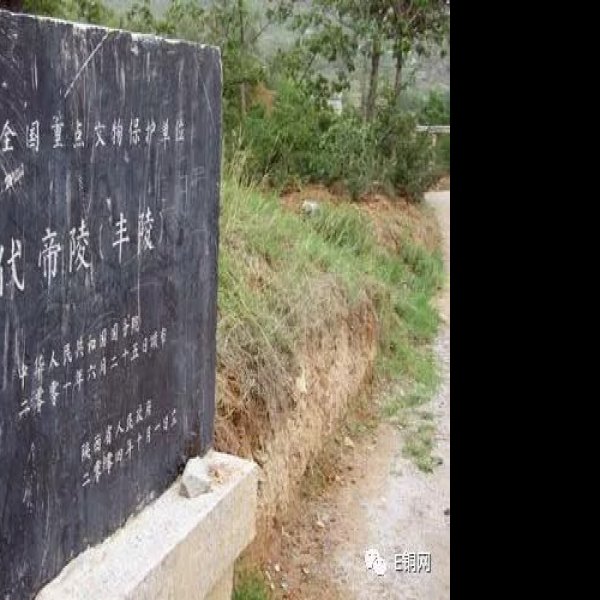 唐丰陵碑刻 - 图片2