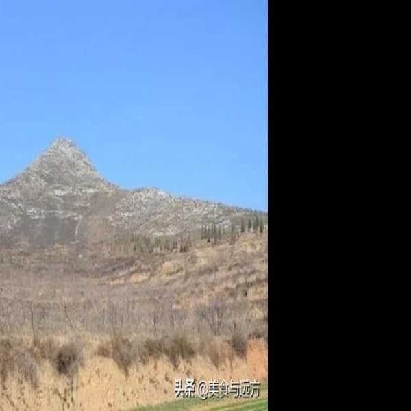 唐丰陵碑刻 - 图片7