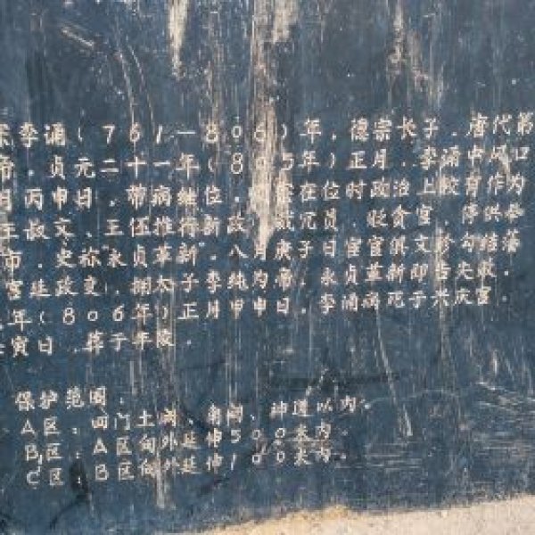 唐丰陵碑刻 - 图片9