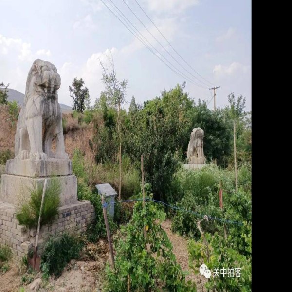 唐景陵碑刻 - 图片6