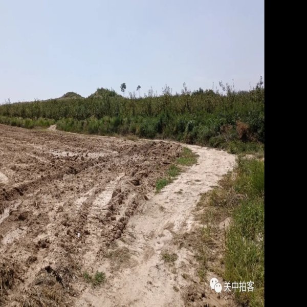 唐光陵碑刻 - 图片10