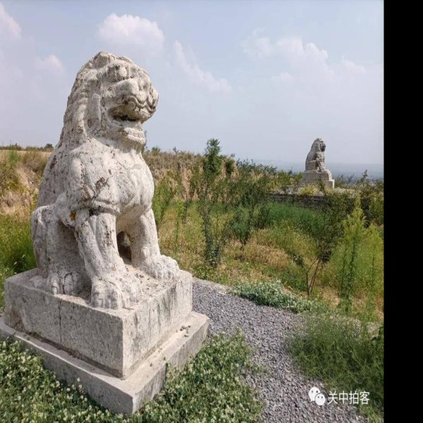 唐光陵碑刻 - 图片2