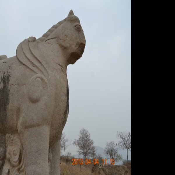 唐光陵碑刻 - 图片9