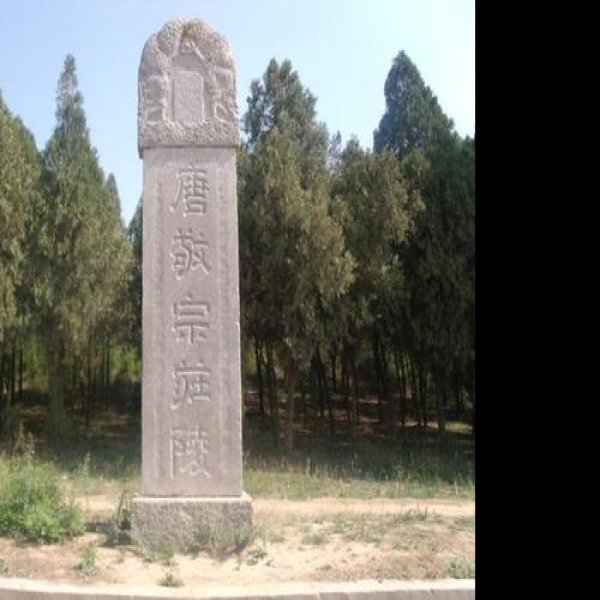 唐庄陵碑刻 - 图片2