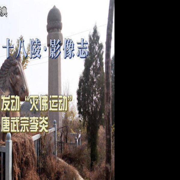 唐端陵碑刻 - 图片5
