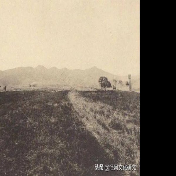 唐贞陵碑刻 - 图片10