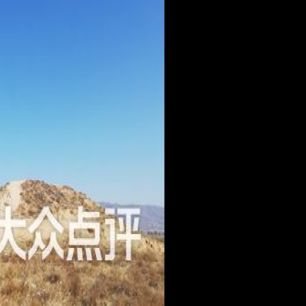唐贞陵碑刻 - 图片8