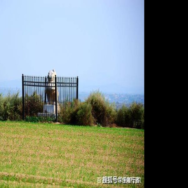 唐靖陵碑刻 - 图片10