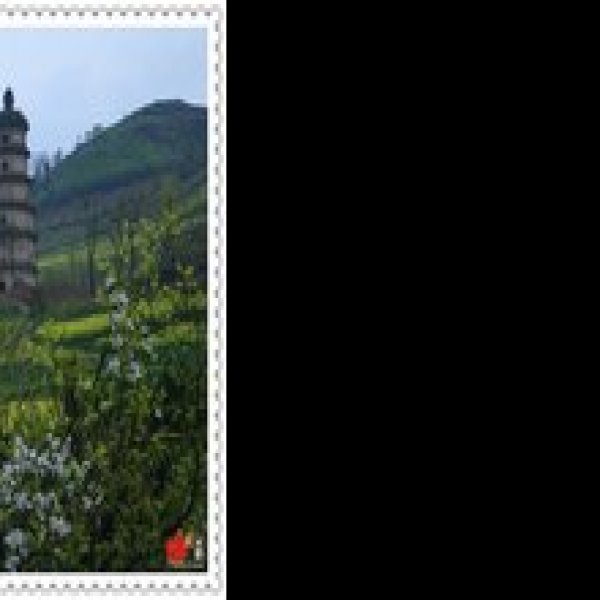 大秦寺塔 - 图片6