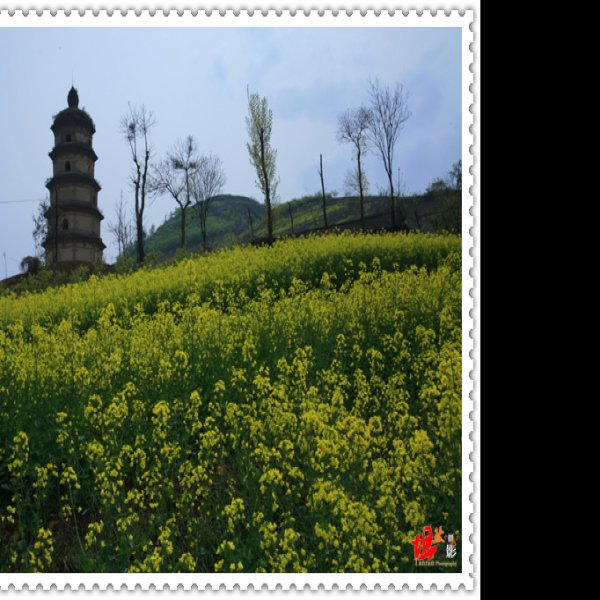 大秦寺塔 - 图片8