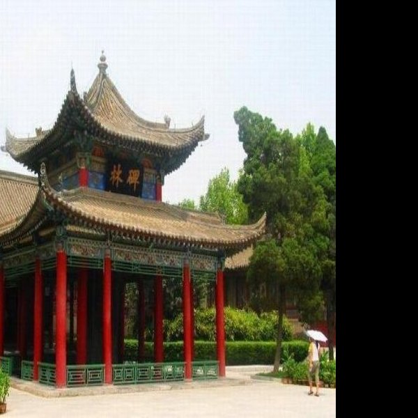 西明寺碑 - 图片4