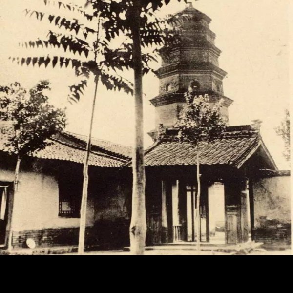 兴善寺碑 - 图片10