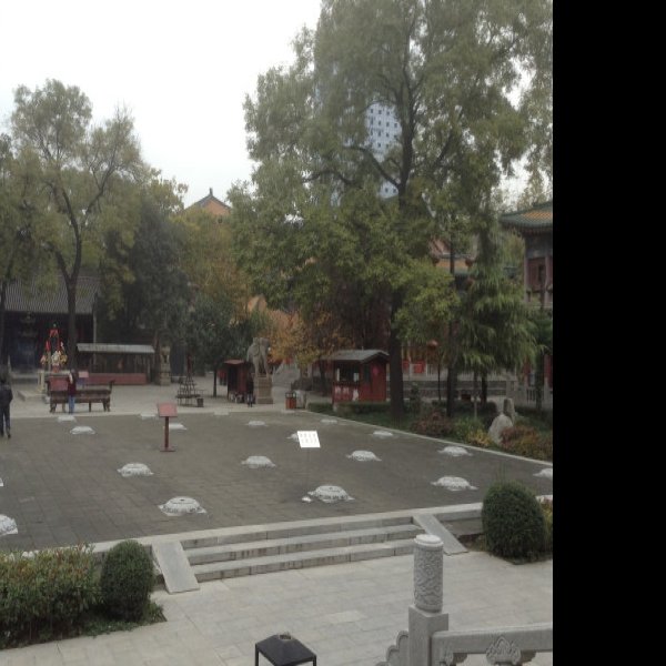 兴善寺碑 - 图片3