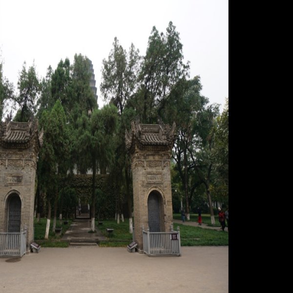 荐福寺碑 - 图片5