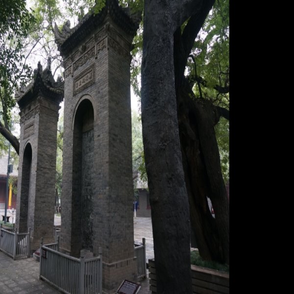 荐福寺碑 - 图片6