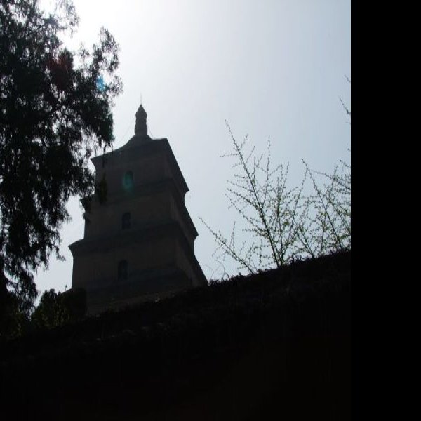 慈恩寺碑 - 图片10