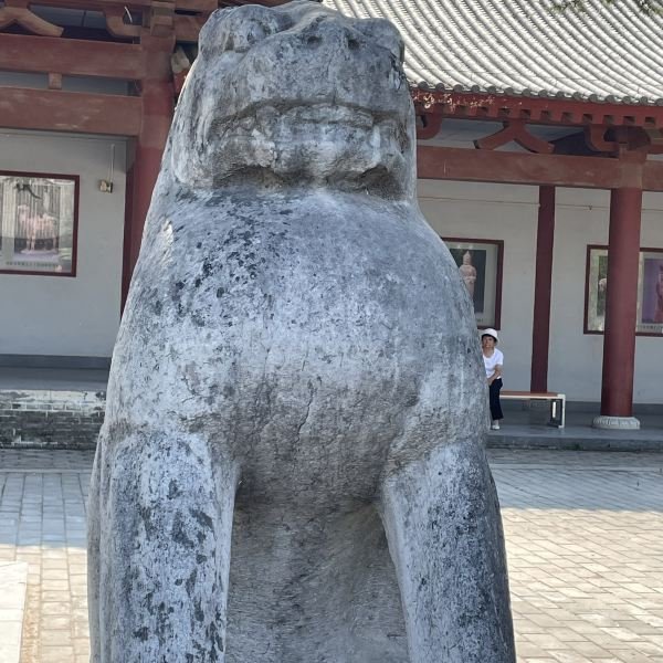 唐昭陵 - 图片8
