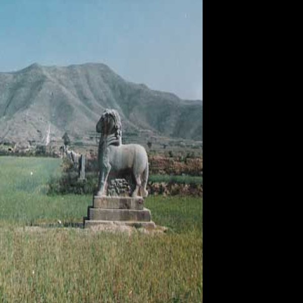 唐泰陵 - 图片6