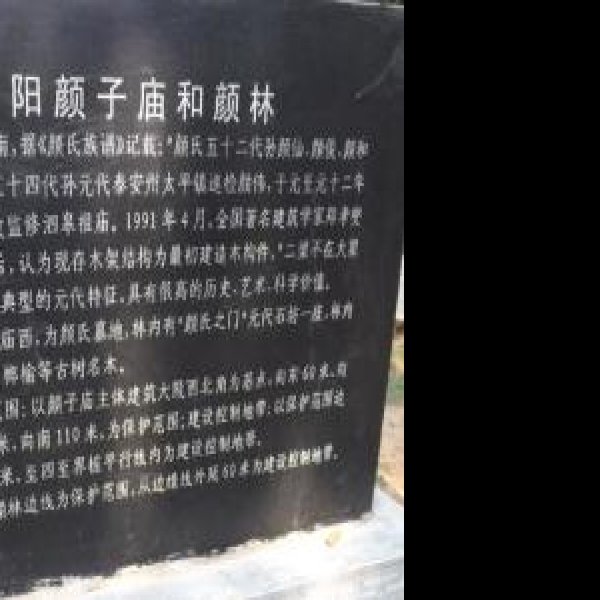 颜林 - 图片9