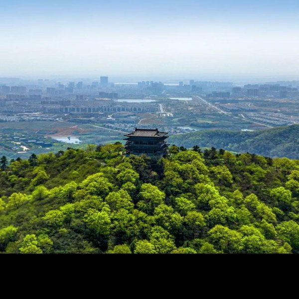 毛竹山、官山遗址 - 图片10