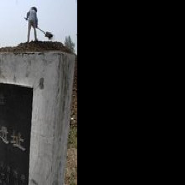 禹会村遗址 - 图片4