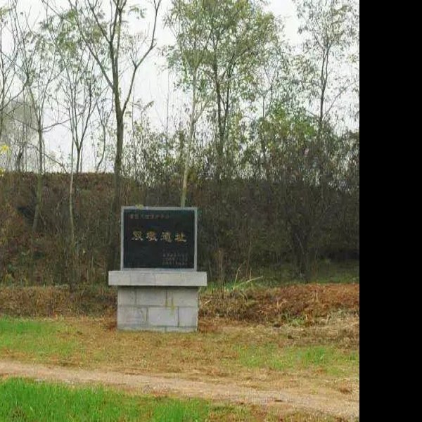 禹会村遗址 - 图片7
