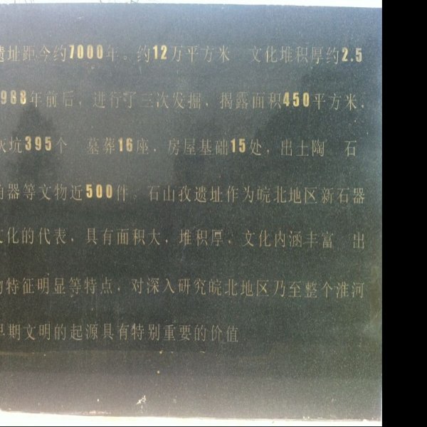 石山孜遗址 - 图片10