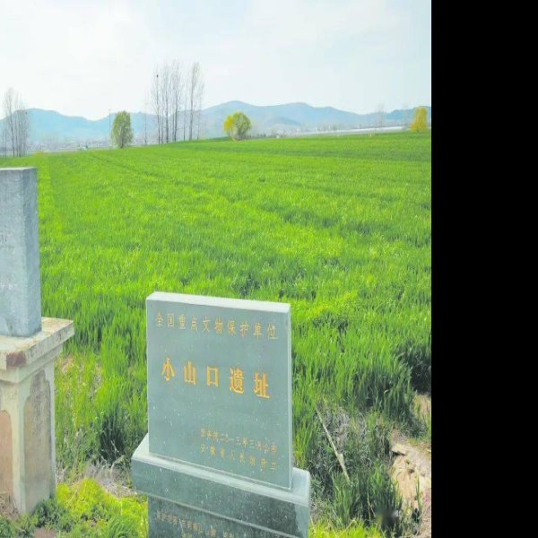 小山口遗址 - 图片1