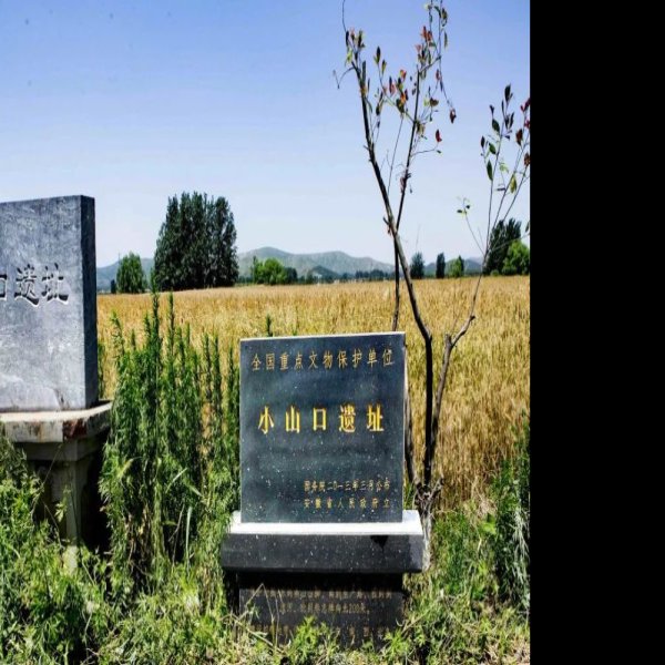 小山口遗址 - 图片4