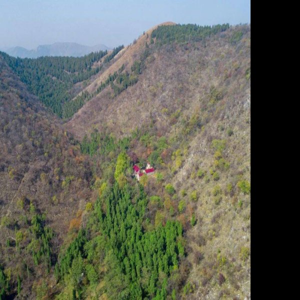 小山口遗址 - 图片6