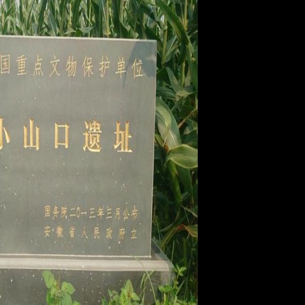 小山口遗址 - 图片8