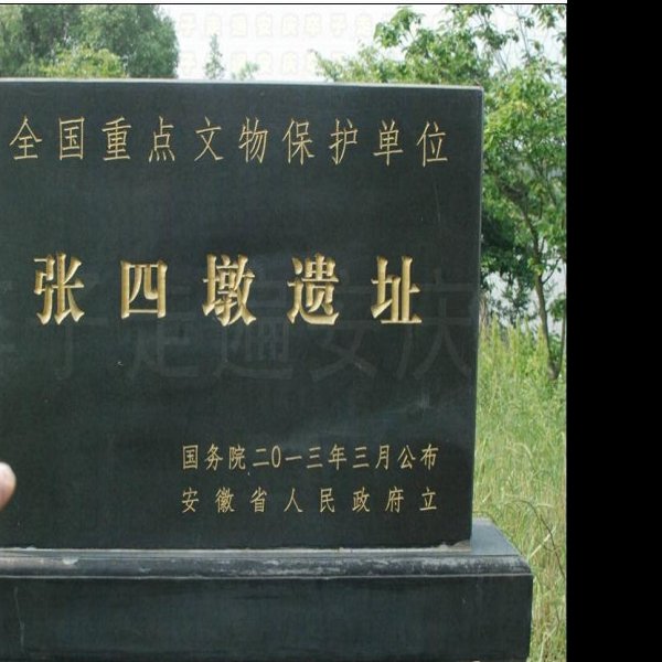 张四墩遗址 - 图片1