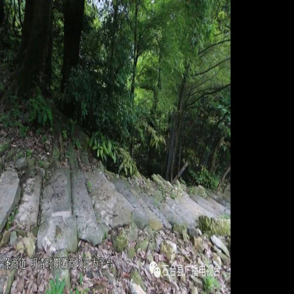 榉根关古徽道 - 图片1