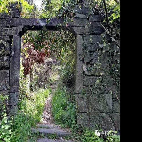 榉根关古徽道 - 图片3