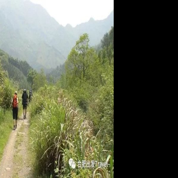 榉根关古徽道 - 图片9