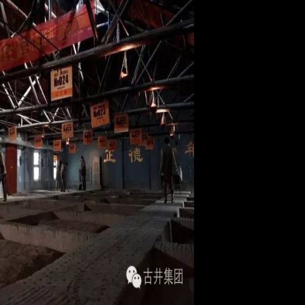 古井贡酒酿造遗址 - 图片8