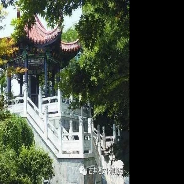 古井贡酒酿造遗址 - 图片9