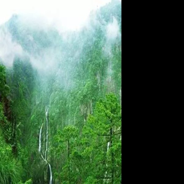 徽杭古道绩溪段和古徽道东线郎溪段 - 图片2