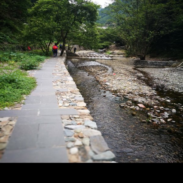 徽杭古道绩溪段和古徽道东线郎溪段 - 图片3