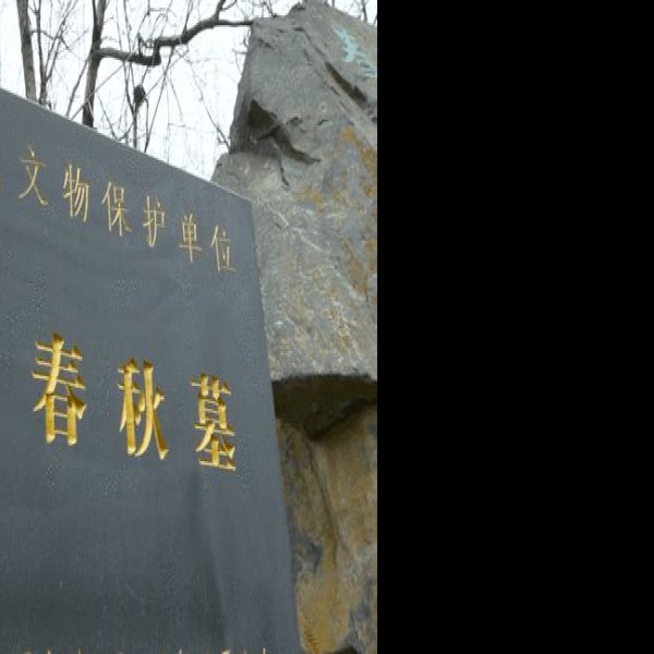 双墩春秋墓 - 图片2