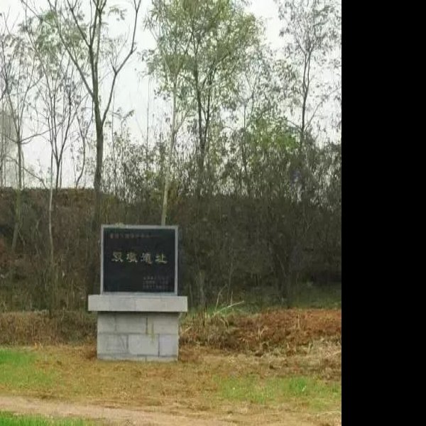 双墩春秋墓 - 图片6