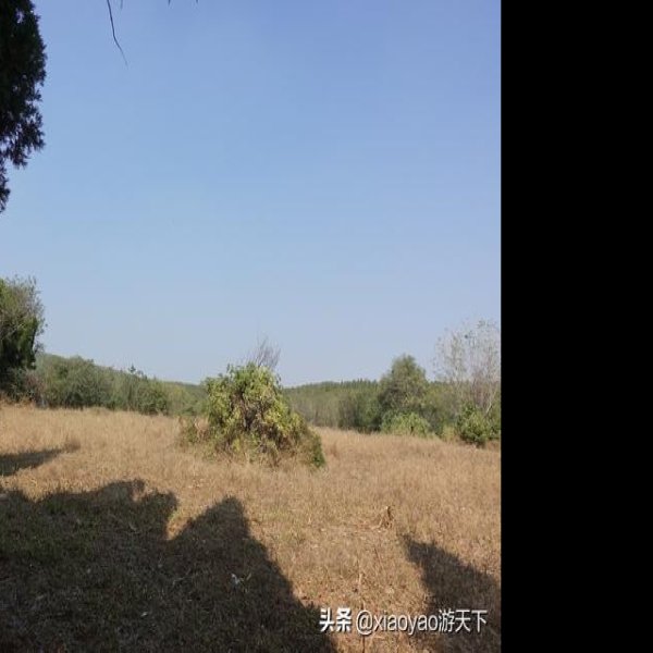 淮南王刘安家族墓地 - 图片5