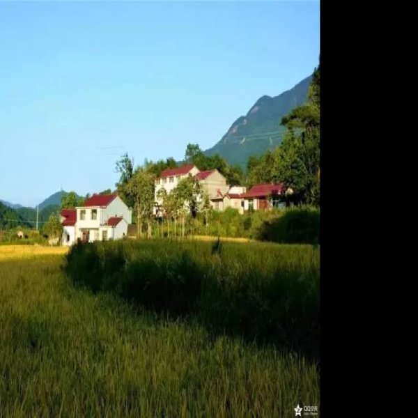 程端忠墓 - 图片3